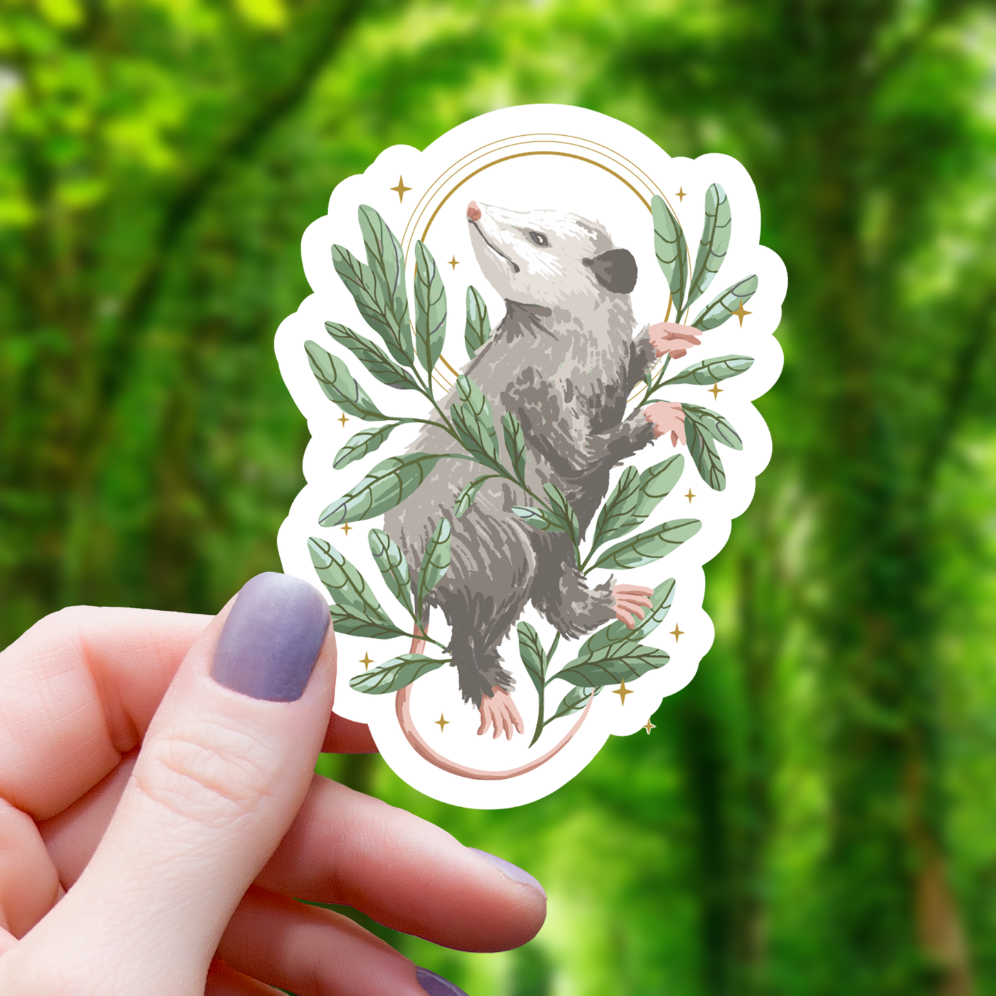 Botanical Oppossum Sticker