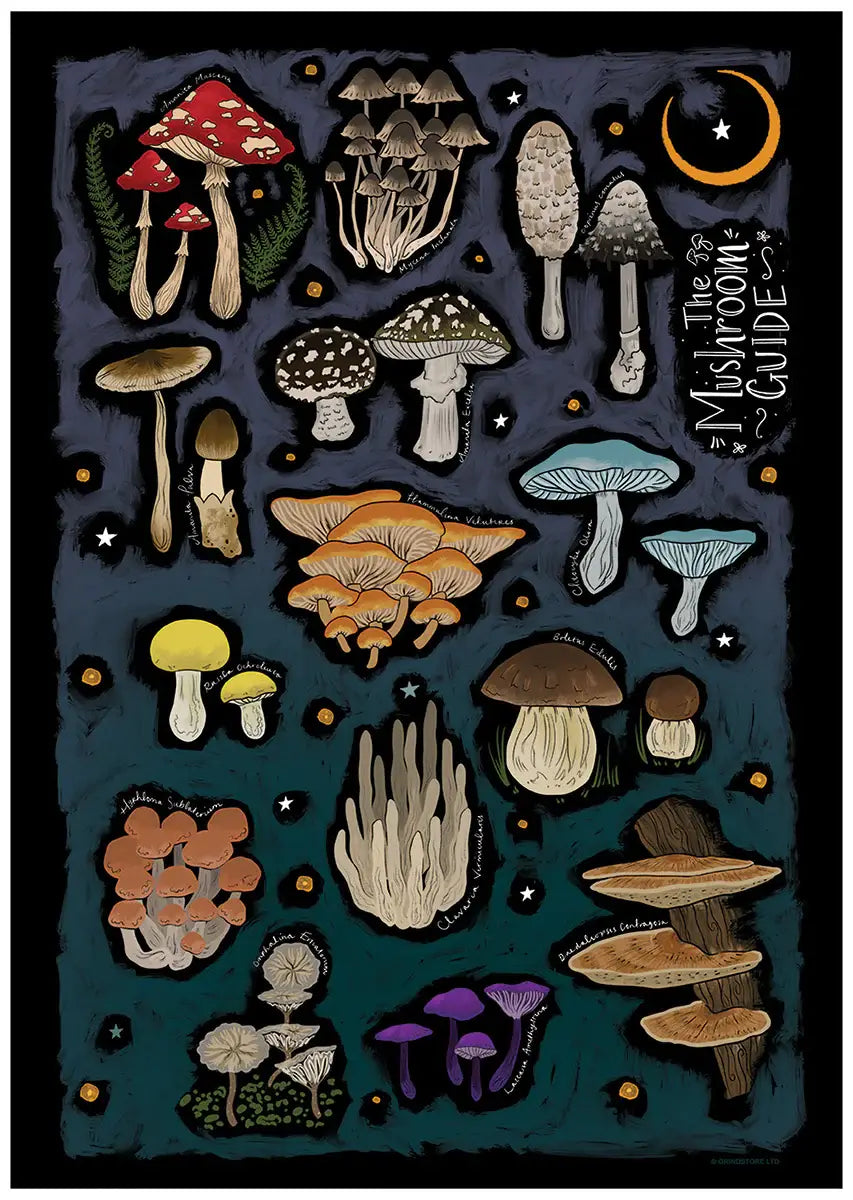 The Mushroom Guide Mini Poster