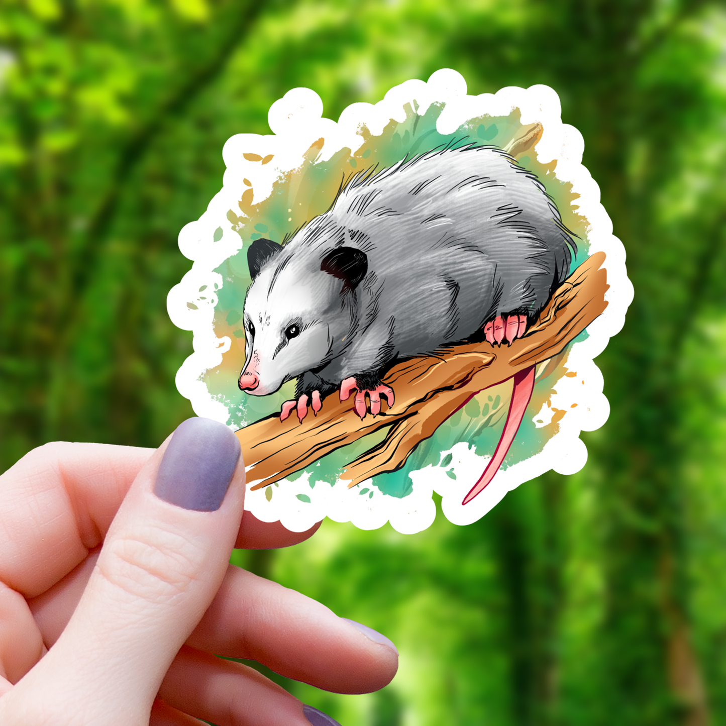 Watercolor Opossum Sticker