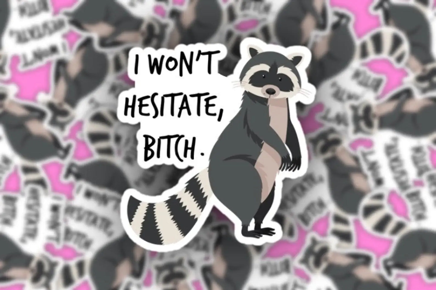 Raccoon I Won't Hesitate Sticker